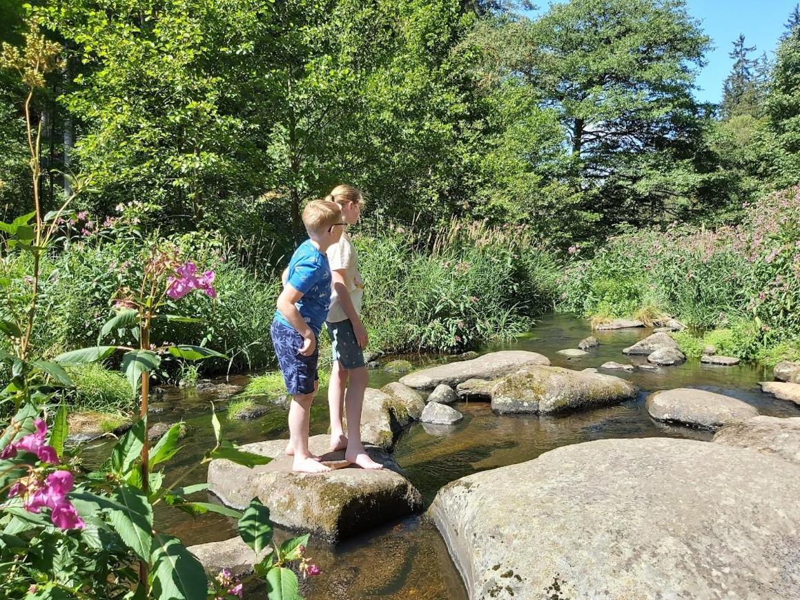 Glamping-Paradies Am Dengler Hof Hohenberg an der Eger Екстериор снимка